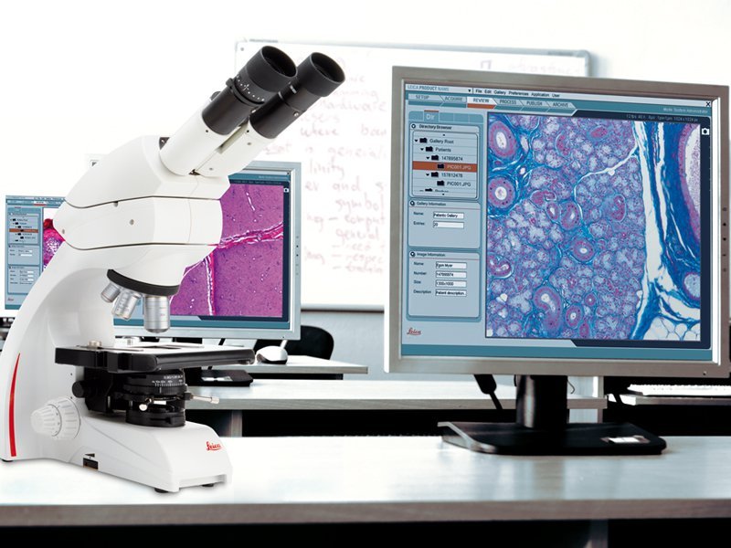 Interactive microscopy system