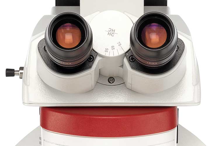 徕卡工业测量检测显微镜双目镜