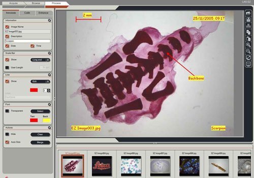 成像软件给”EZ”记录和注解 Leica LAS EZ 成像软件给”EZ”记录和注解 Leica LAS EZ