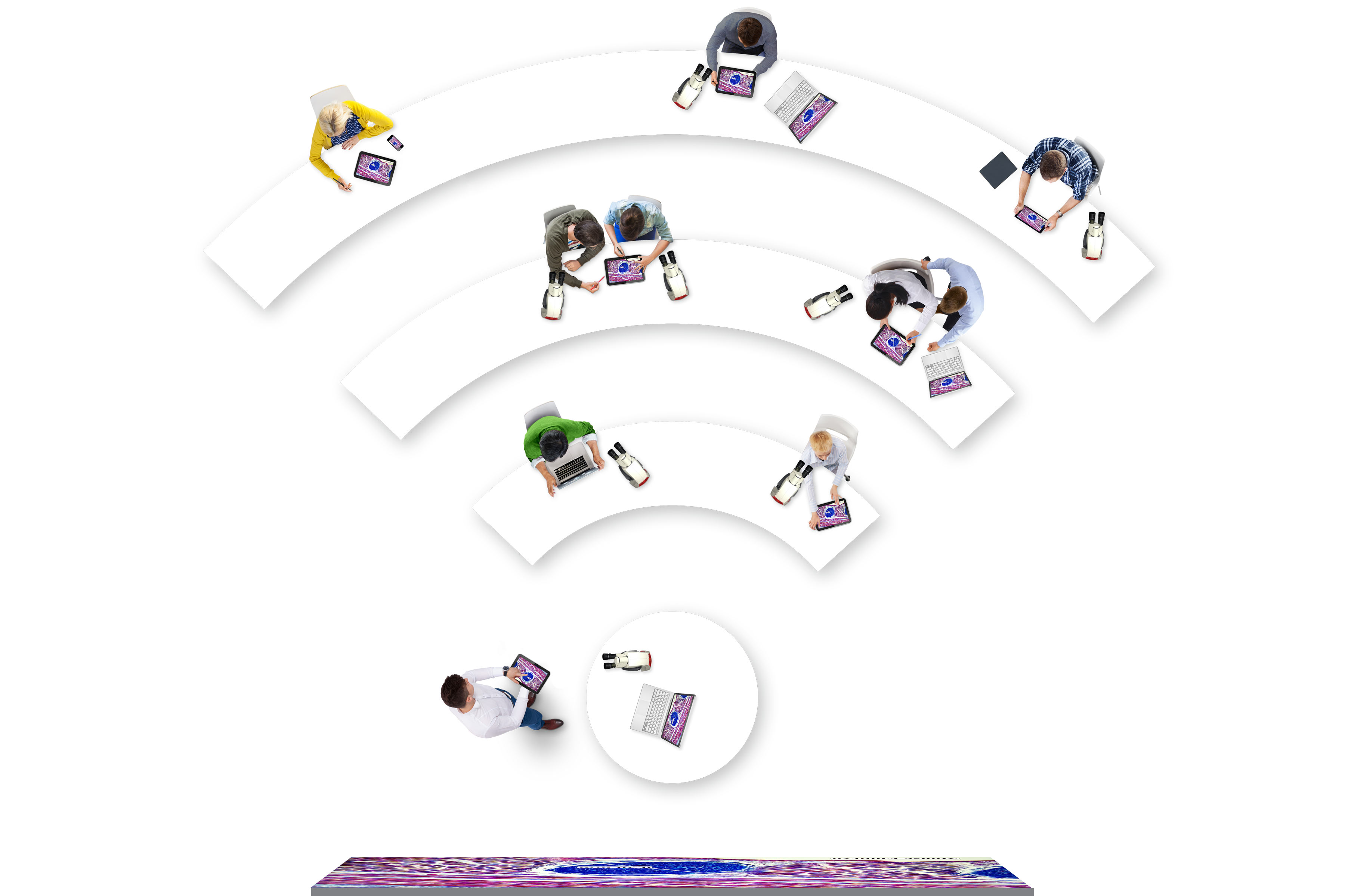 Software Bundle for interactive microscopy class AirTeach Software Bundle for interactive microscopy class AirTeach