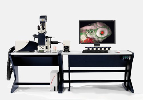 Leica TCS SP5 II 宽带共聚焦显微镜及双光子显微镜 Leica TCS SP5 II 宽带共聚焦显微镜及双光子显微镜