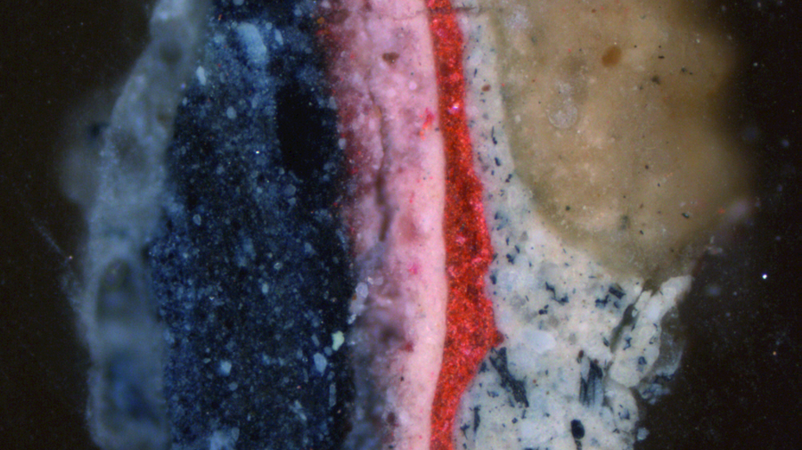 4b is a cross-section from stage 3 in the painting process. The samples clearly show the discrepancy in pigment composition in the two double grounds.