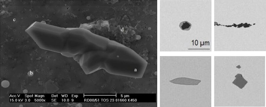 图1：钢材中非金属夹杂物电子显微镜图像（左图）和光学显微镜图像（右图）。电子显微照片（左）[1]显示大面（a）和小球形（b）氧化铝颗粒，以及0.2 pm孔隙（c）和沉淀物（d）。电子显微镜图像感谢比利时Katholieke Universiteit Leuven大学的材料系P.Wollants和地理系J.Eisen提供。