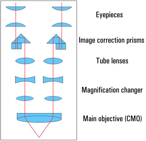 望远镜或 CMO 原理：光学系统由两条平行光束路径和一个共用主物镜组成，因此被称为 CMO（共用主物镜）系统。这种类型的体视显微镜有一个可拆卸的观察管，并且在观察管透镜区域有通用的定制选项。