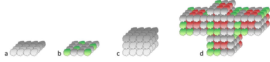 Several categories of mammalian cell culture organization 