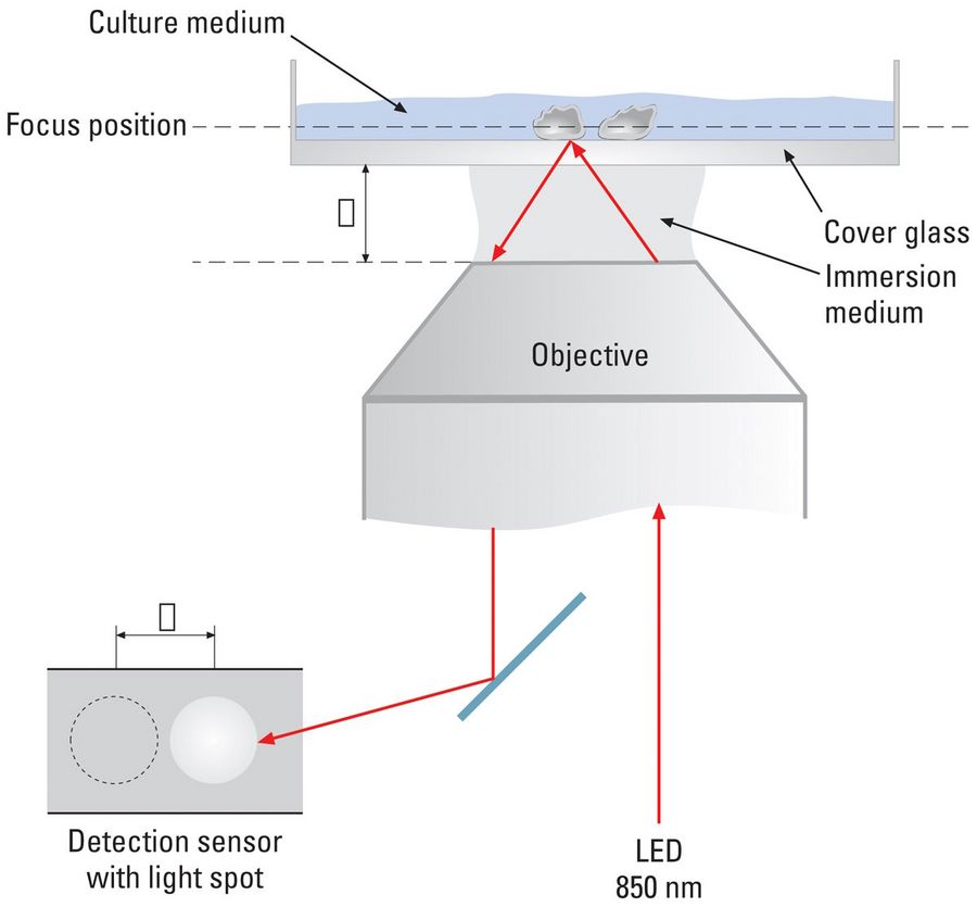 The adaptive focus control (AFC) automatically stabilizes the microscope focus during long-term time-lapse acquisition. A sensor detects movements of an LED light beam (850 nm wavelength) on the cover glass of the specimen. The cover glass position can change due to thermal activity and the resulting temperature changes.