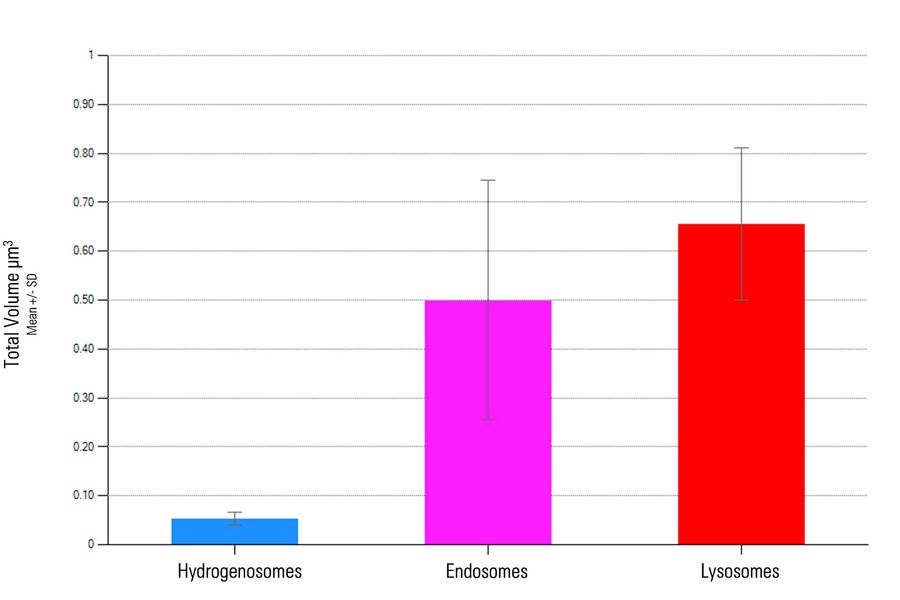 Mean volume analysis of individual organelles. 