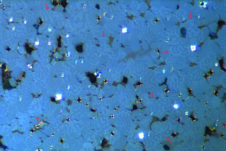 Kerr Microscopy 测量显微镜 | 应用 | 徕卡显微系统
