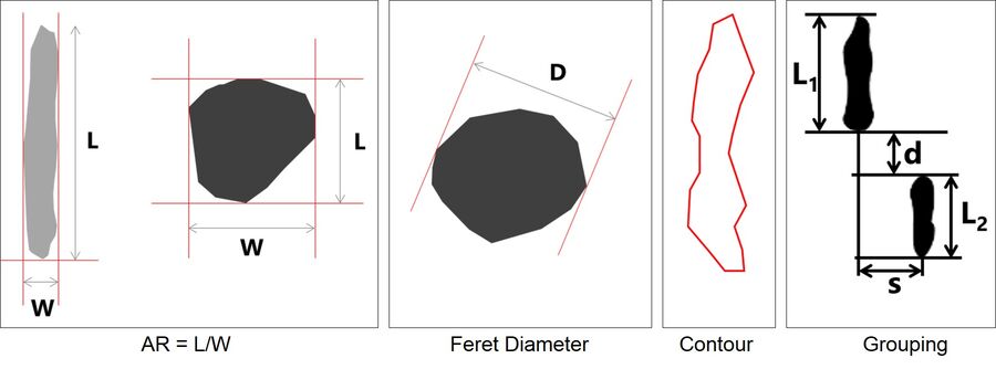 图5：夹杂物的形态参数特征分析：长度（L）、宽度（W）、直径（D）、长宽比（AR）或长度与宽度的比值、轮廓和分组，即分组夹杂物的水平（s）和垂直（d）分离距离。