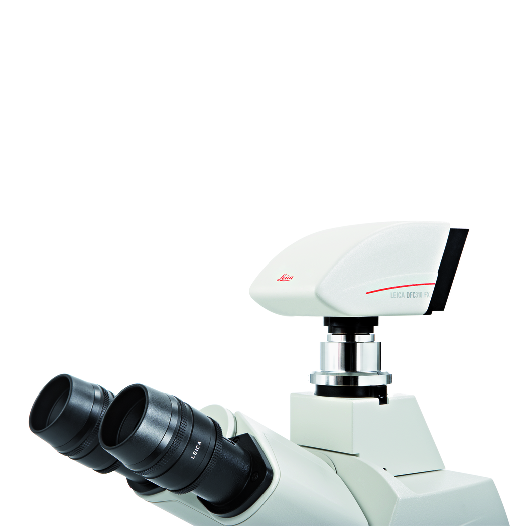 Documenting fast dynamic cellular processes is easy with the Leica DFC310 FX digital color camera. Documenting fast dynamic cellular processes is easy with the Leica DFC310 FX digital color camera.