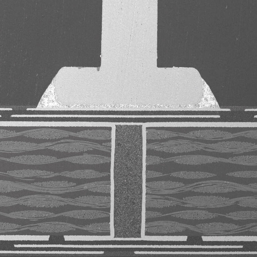 使用徕卡样品制备系统制备的 PCB 横截面，显示焊接引脚。