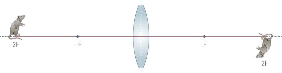 图7：焦平面2倍处的物体
