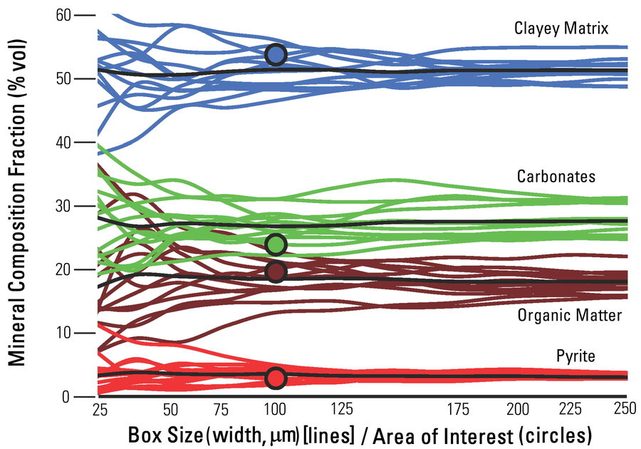 Fraction of the mineral composition for each phase (organic matter, clayey matrix, carbonates, and pyrite) of shale versus the box size width. Black lines indicate the average for each phase and black circles the fractional composition for the entire area of interest (Figure 4).