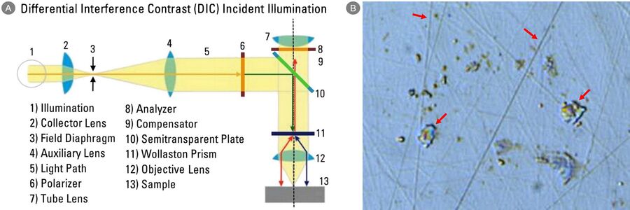 图13：A）使用微分干涉对比度（DIC）入射照明的显微镜示意图和B）复合显微镜上用DIC和λ板在500倍放大率下拍摄的显微镜图像。该图像可以评估样品制备过程的夹杂物颗粒边缘锐度和划痕（红色箭头处）。