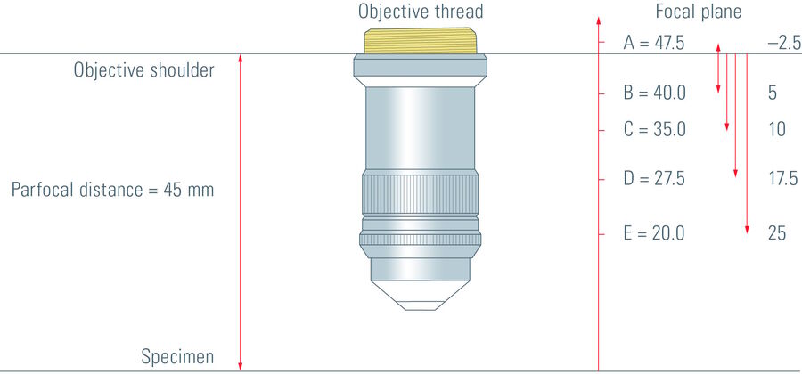 徕卡物镜由固定焦平面定义。由于徕卡物镜用于倒置显微镜，而且放大倍率固定在 5x-63x 之间，因此可以将调制平面的数量减少到两个瞳孔位置。