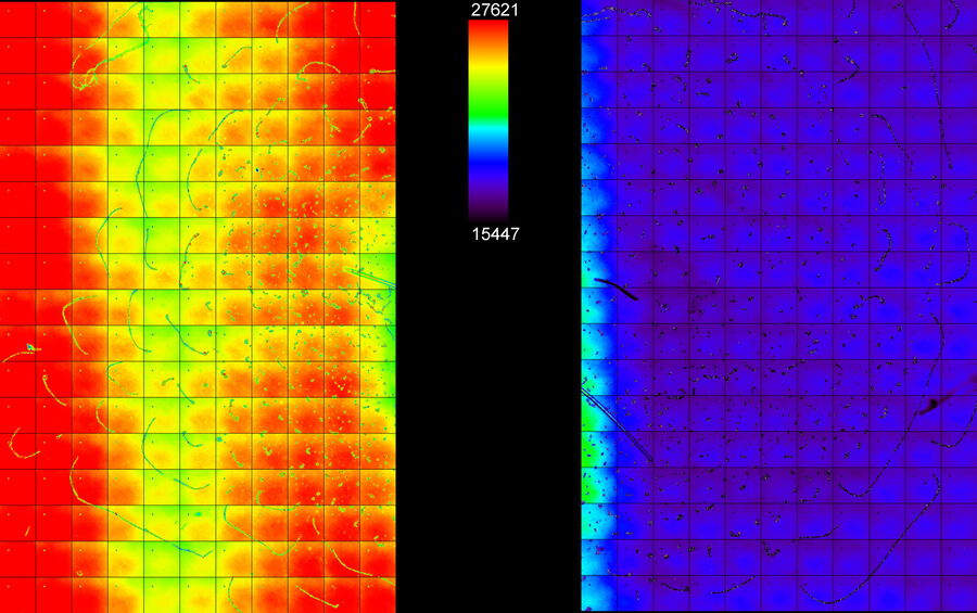 Merged image of two non-overlapping tile scans