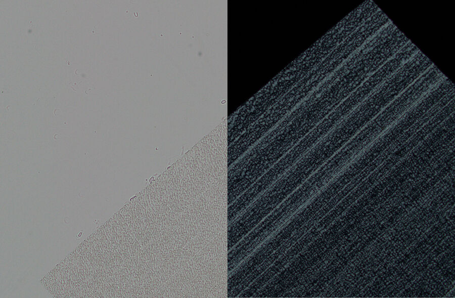 左：聚乙烯薄膜成像与平行偏光镜和2.5x放大物镜。这种不均匀性很难在图像中看到。右：用交叉偏光镜成像的聚乙烯薄膜。图像更清楚地显示了不均匀性。DM4 P显微镜配2.5x平面Fluotar物镜和偏光镜的成像效果