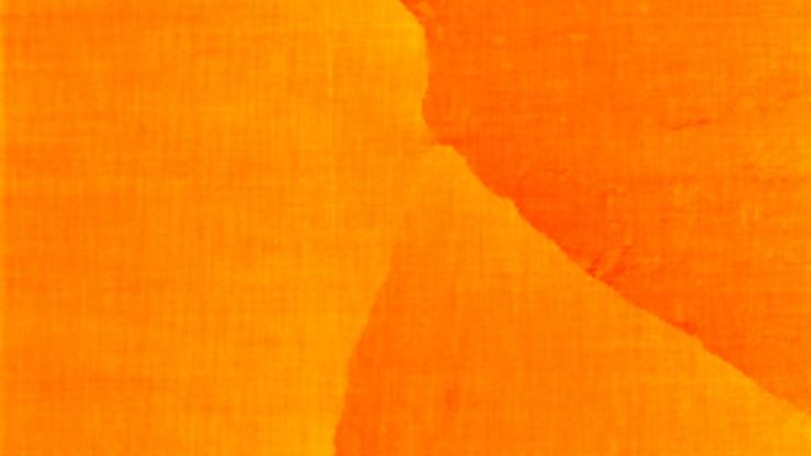Section surface, gold – AFM image. 