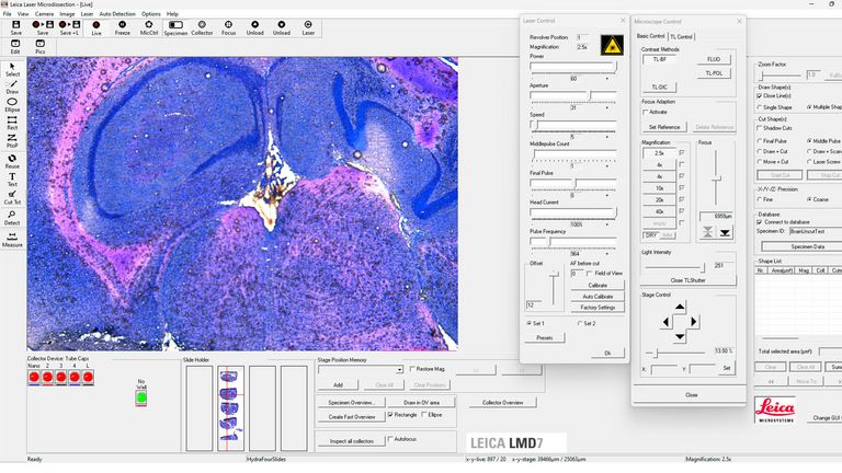 The primary interface of the LMD software for viewing and exploring the sample before and after dissection.