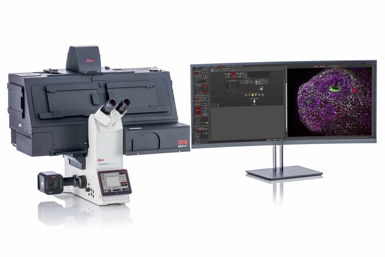 [Translate to chinese:] THUNDER Imager Live Cell is based on a fully motorized DMi8 microscope, Quantum Stage, highly sensitive K8 camera, and multi-line, high-intensity fluorescence LED light source. It is optimized for fast and precise multi-position, multi-channel imaging of 3D cell cultures. 