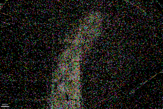 使用 AIVIA AI 图像分析软件分割目标细胞类型