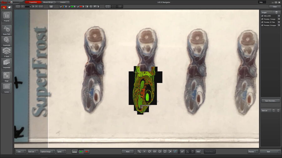 LAS X Navigator can import images from other sources. In the example shown, the confocal images are aligned with a snapshot from a camera.