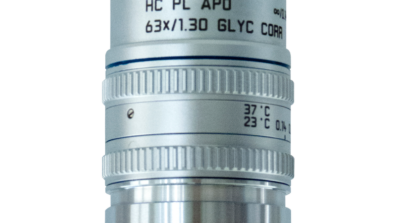 HC PL APO 63x/1,30 GLYC CORR