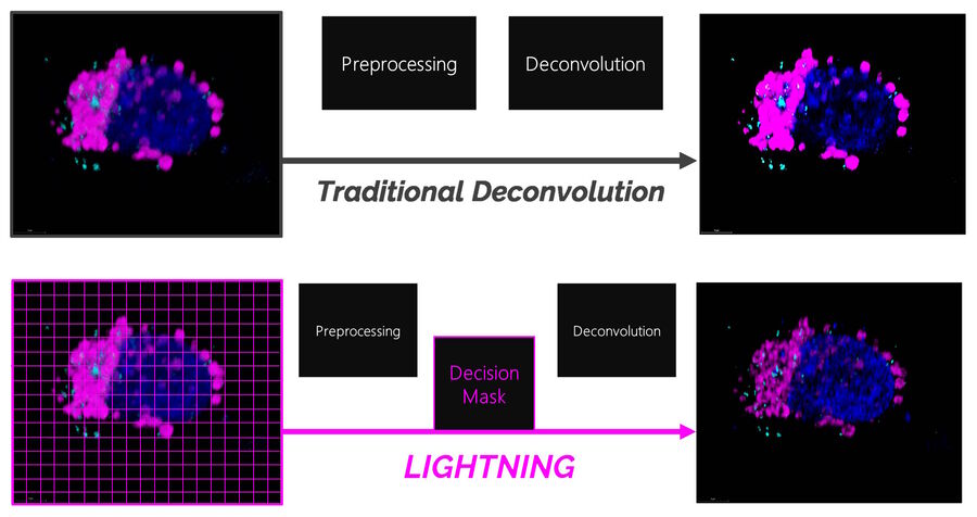 LIGHTNING技术标准算法使用一个全局设置，确定单个体素精确的信号-背景值，以适应每个单个像素，并允许自动批处理。