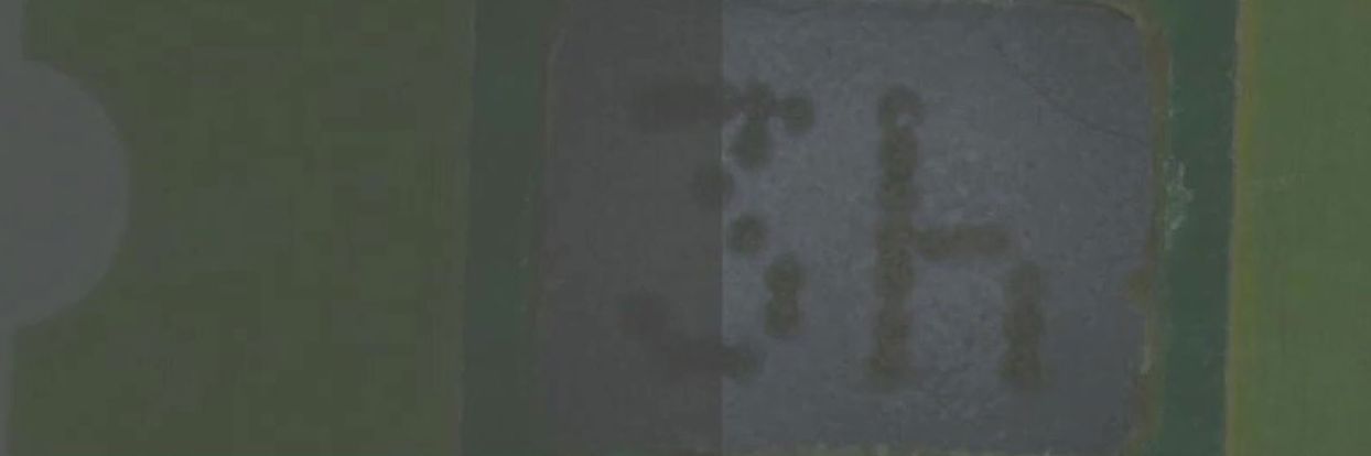 呈现单个样本中的多个目标，利用荧光提供组织形态和病理的整体视图。