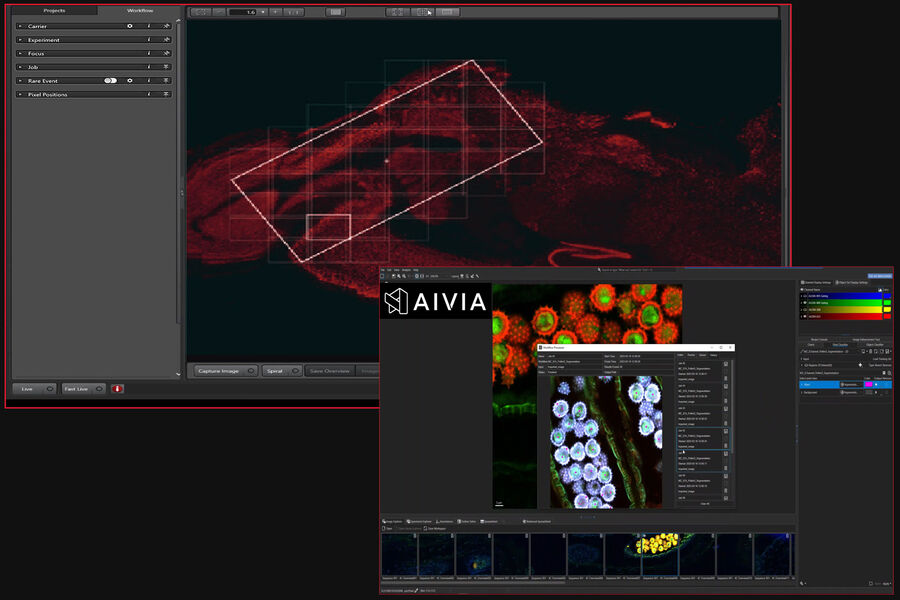 Fig 4: LAS X Navigator Expert with Aivia