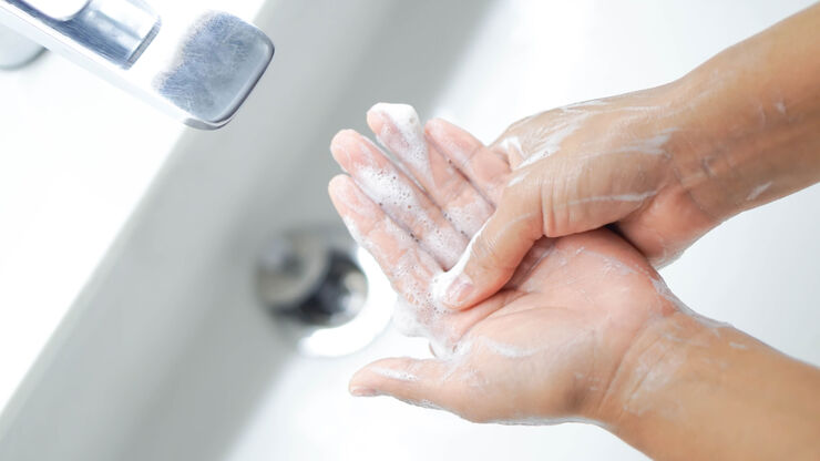 Image source: Adobe Stock Image source: Adobe Stock