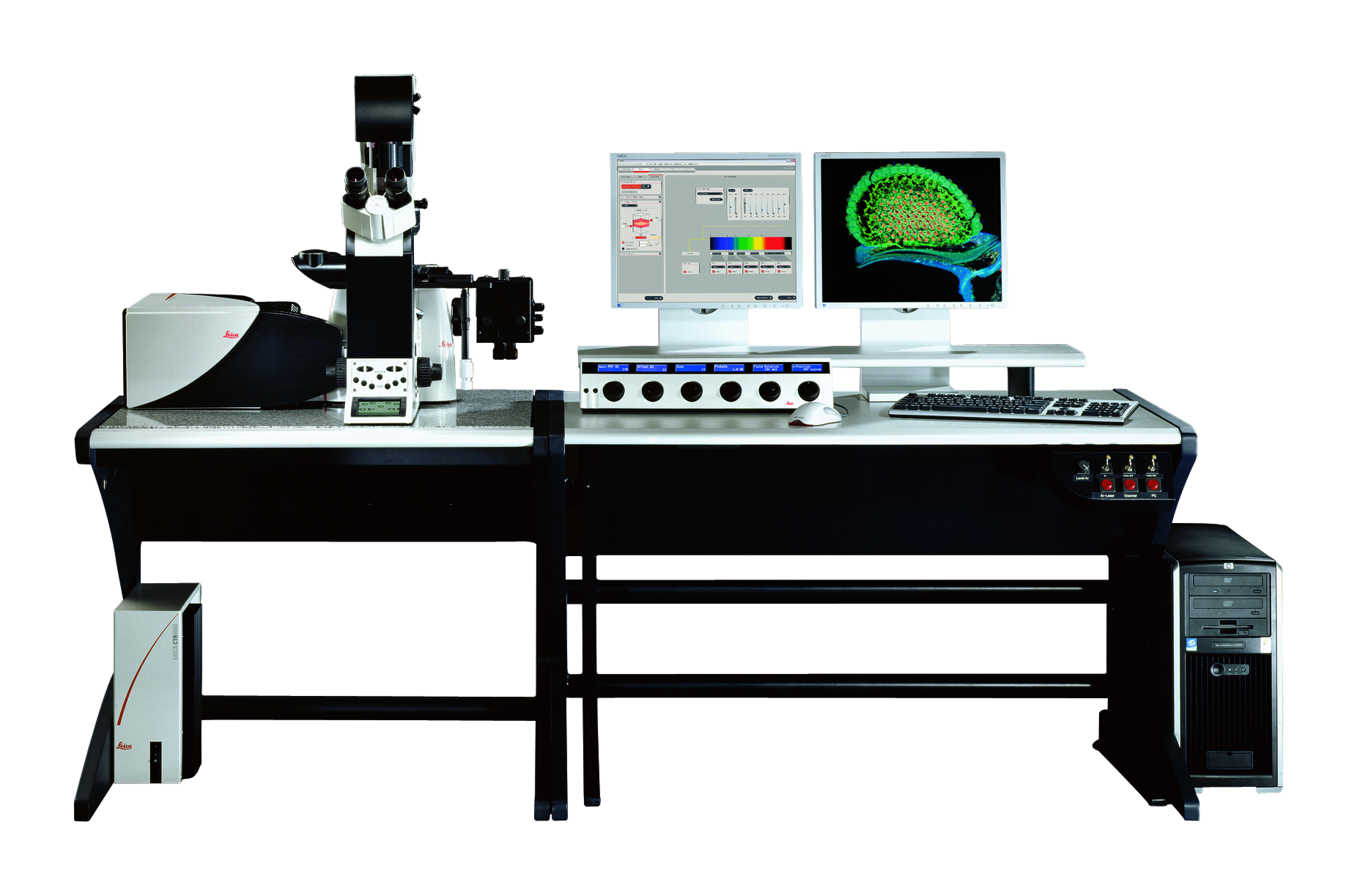 Broadband confocal Leica TCS SP5 Broadband confocal Leica TCS SP5