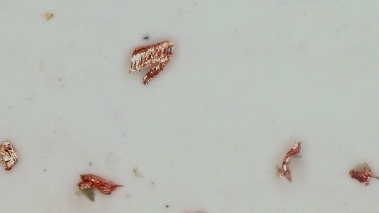 [Translate to chinese:] Particles observed on the surface of a particle trap which could be used for technical cleanliness during battery production.