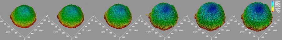 A 3D image of a spheroid self-assembled from HEK293 cells acquired with light-sheet microscopy. The spheroid was treated with the anti-cancer drug AZD2014, a recognized inhibitor of the mammalian Target Of Rapamycin (mTOR) pathway which promotes tumor growth. Depth within the organoid is shown with different colors (see the z scale).