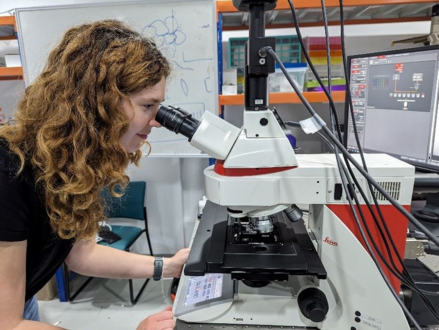 THUNDER Imager Tissue which was used for screening transgenic zebrafish. Image courtesy of Laura Kreplin PhD Student, Monash Biomedicine Discovery Institute, Monash University, Clayton/Melbourne, Australia.