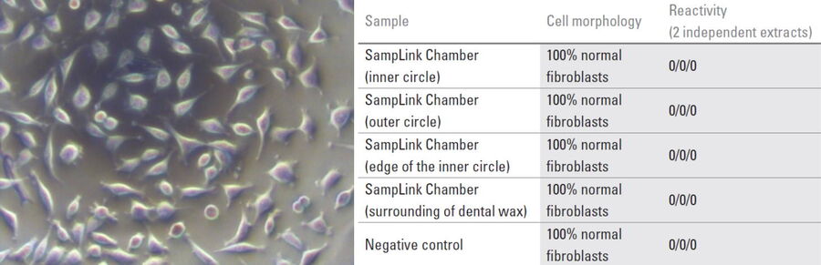 Negative control sample stained with MTT.