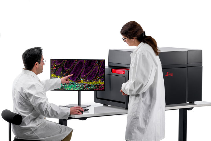 Multiplex Imaging Solution Cell DIVE Multiplex Imaging Solution Cell DIVE