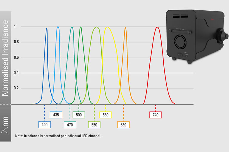 Spectrum pE-800 MB LLG