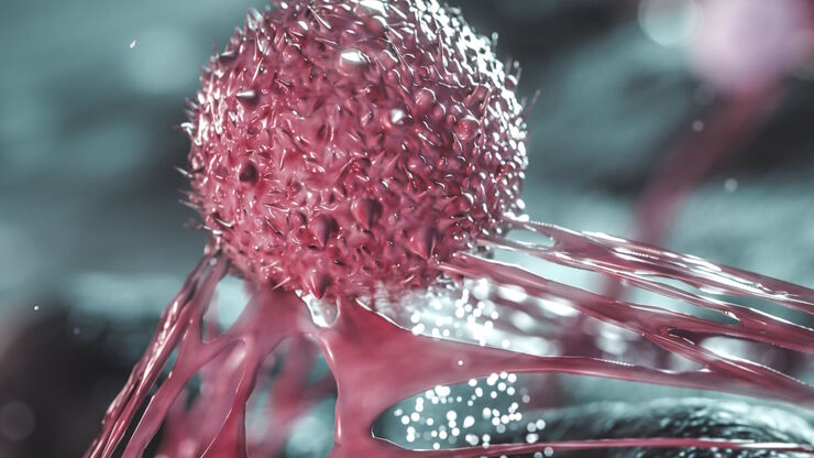 Cancer cells Cancer cells