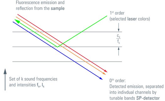 图5：将来自激光组或白激光的单根谱线（或一组谱线引入扫描显微镜的光路中。调整声波频率将所​​需颜色偏转到适当的角度，这些颜色从一阶方向送入晶体。而且光将继续与光轴同轴，并激发样品中的荧光染料。符合斯托克斯位移的发射光将原封不动地通过晶体，最终在检测系统中进行记录和分析。