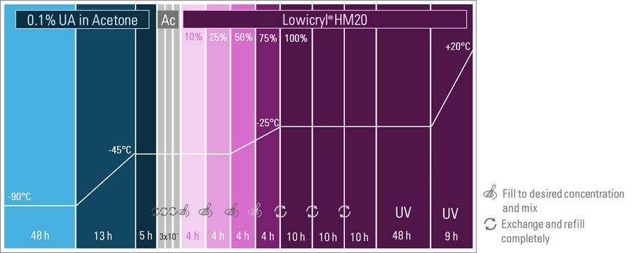 用于秀丽隐杆线虫的冷冻替代方案。