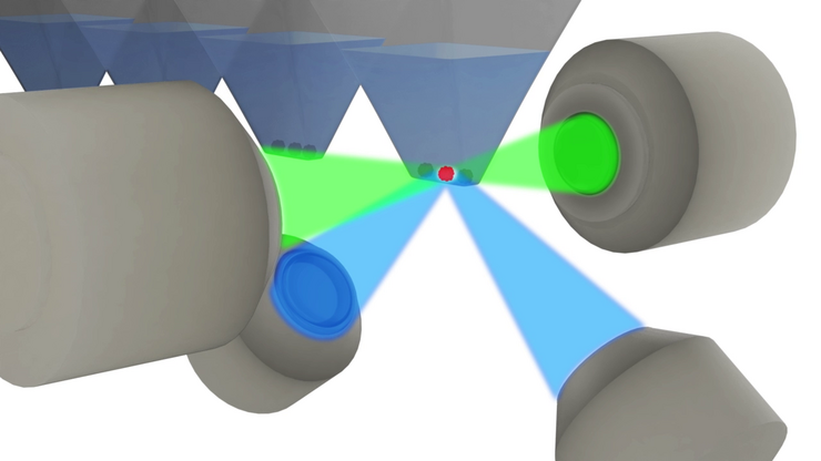 图形 - 通过双照明和双检测提高时空分辨率，适用于单位置和多位置实验