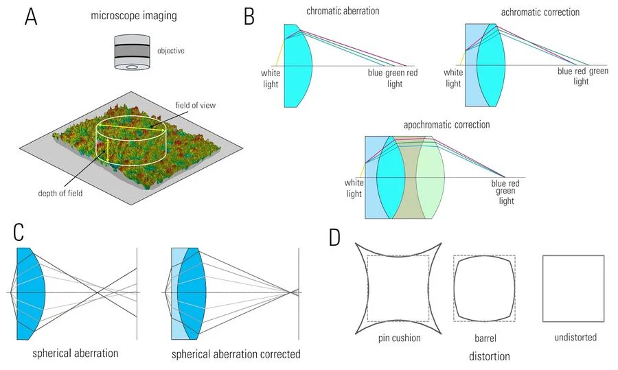 Some aberrations which must be corrected for optical microscope imaging: A) diagram showing the field of view (FOV) and depth of field (DOF) of a microscope objective imaging a sample; B) achromatic and apochromatic correction demonstrated with ray tracing of white light passing through lenses; C) spherical correction also clarified with ray tracing; and D) illustration explaining the distortion possible with optical lenses which also is corrected.