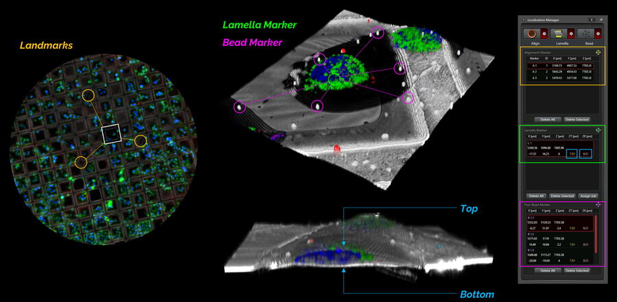 Coral Cryo- Software module. Landmarks, lamellae and bead markers can be defined within the software workflow.