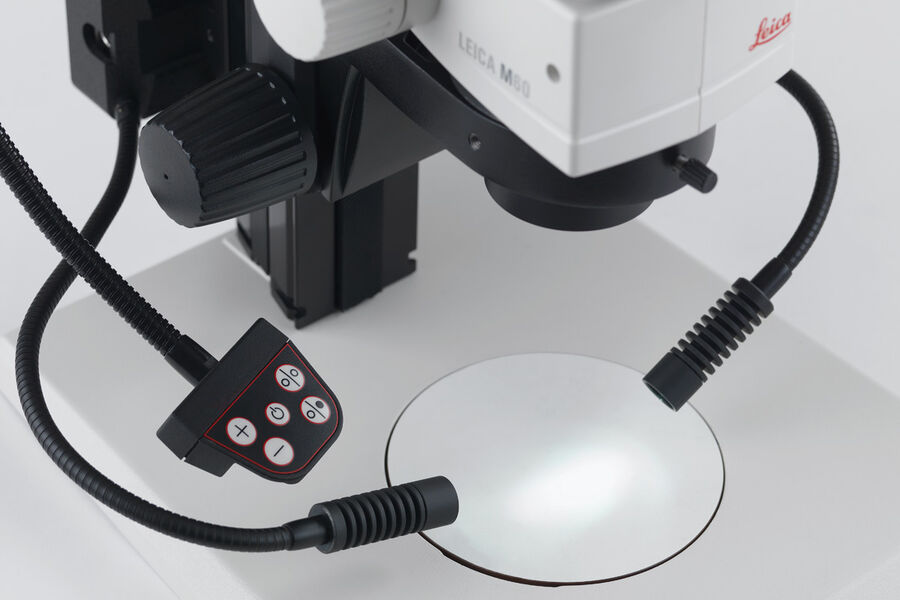 徕卡M80体视显微镜 M50, M60 & M80: LED3000 SLI 和 LED5000 SLI 点光源或鹅颈照明