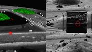 Correlation of markers in the LM and the FIB image.