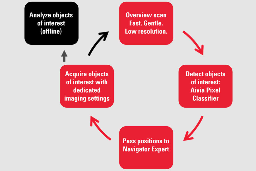 [Translate to chinese:] Fig 1: Rare event detection workflow