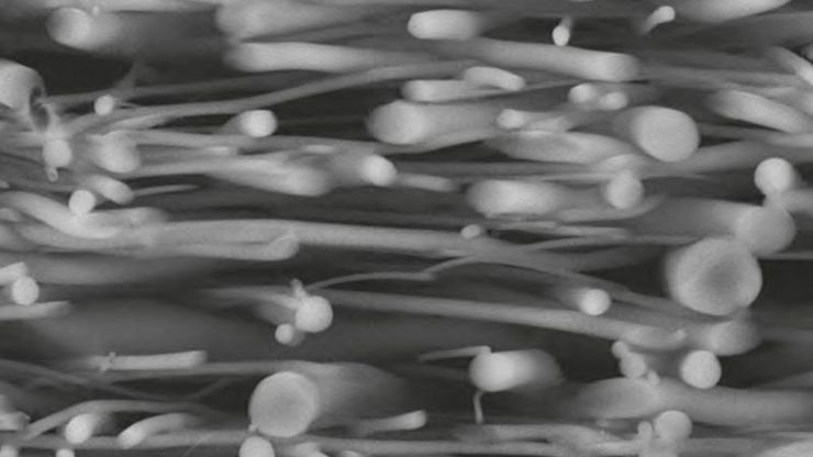 Coaxial polymer fiber (water soluble) prepared at –120 °C