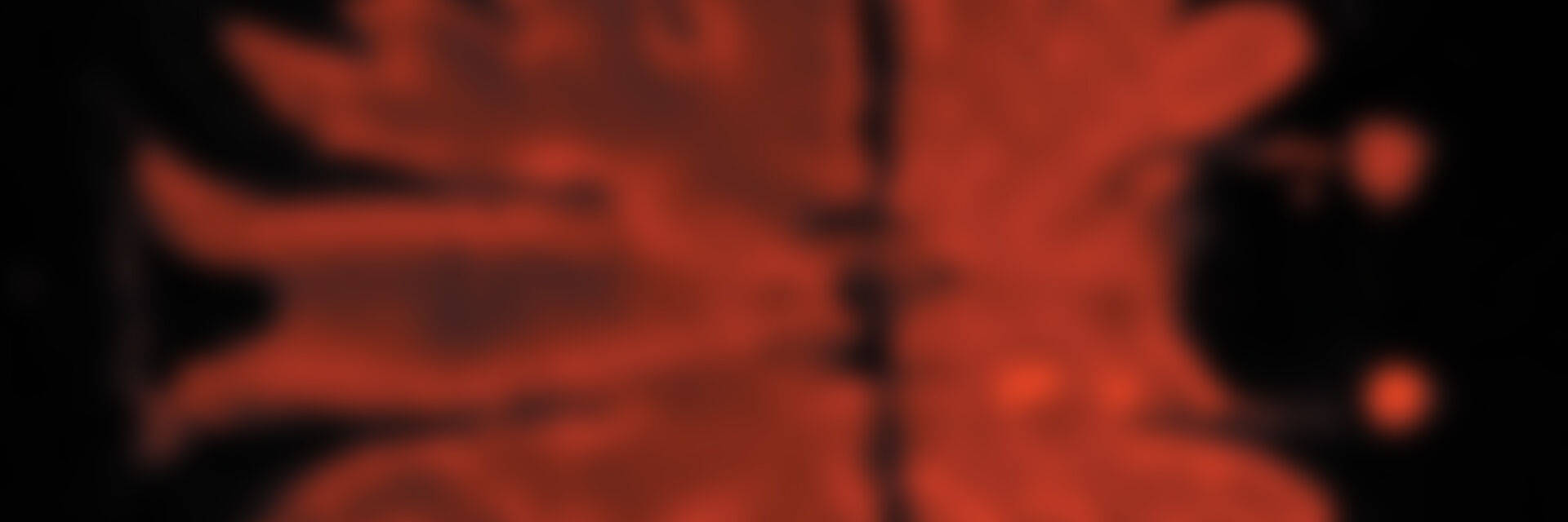 09 各种观察方法