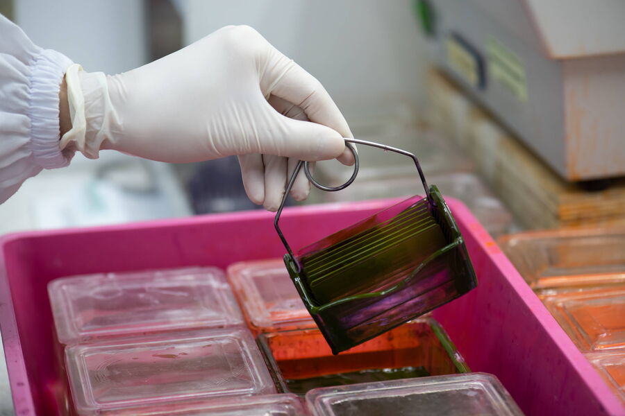 The glass slides are immersed into different solutions for staining.